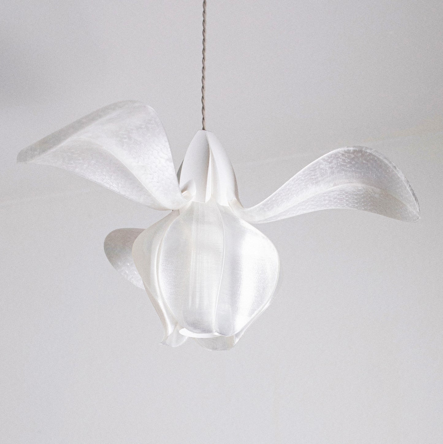 IRIS FILAMENTUM - suspension - blanche