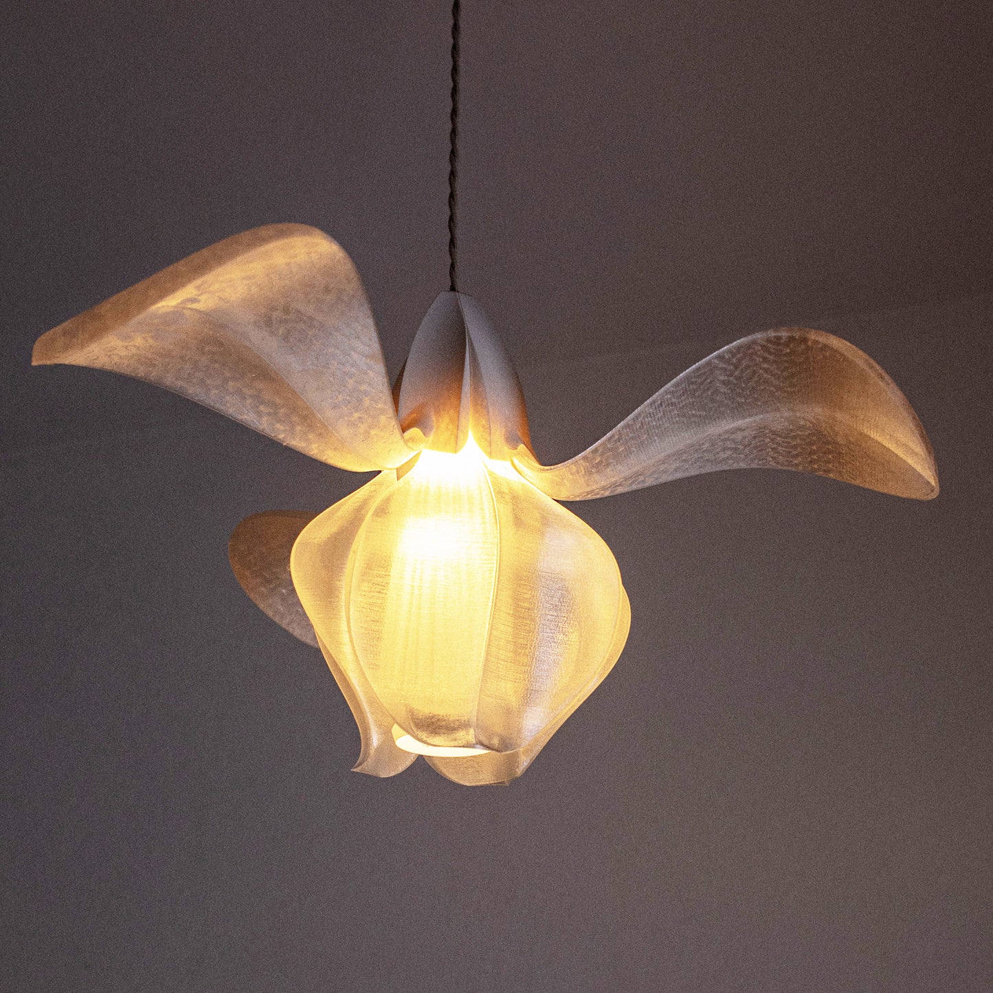 IRIS FILAMENTUM - suspension - blanche