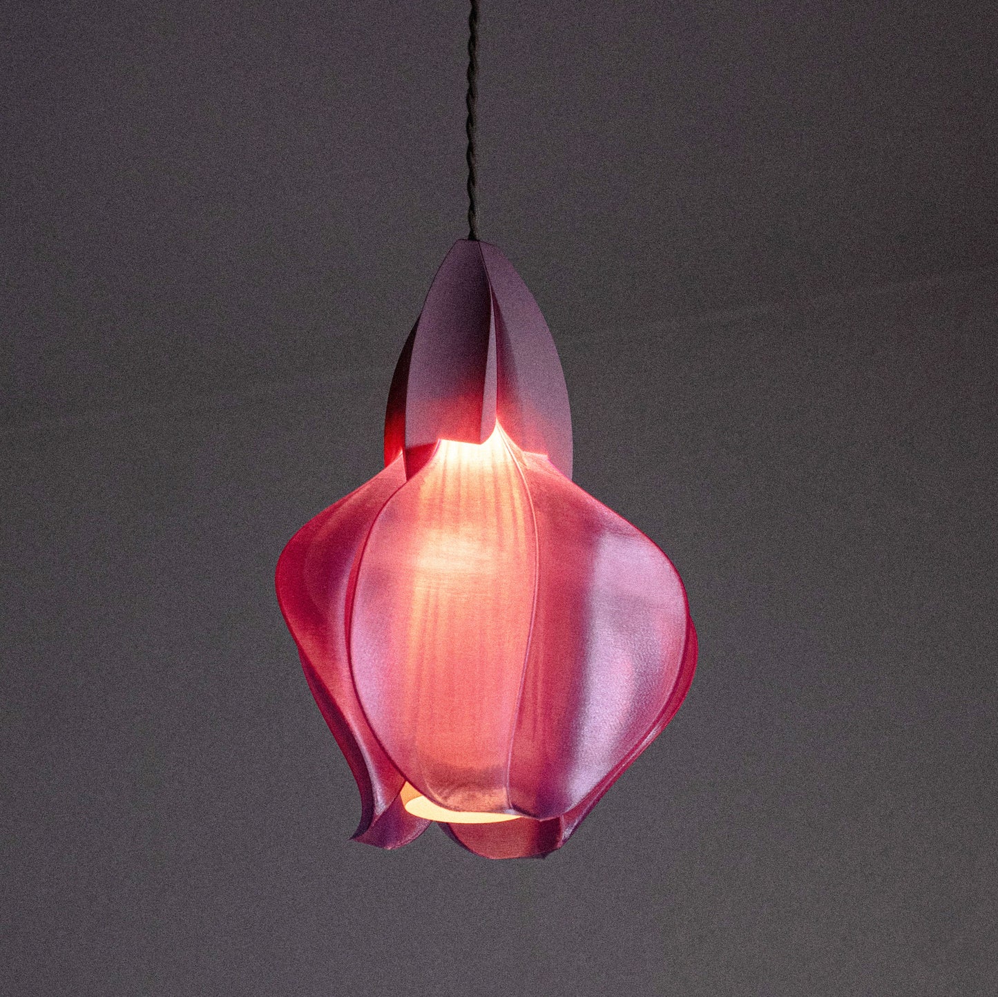 IRIS FILAMENTUM MINI - suspension - rose