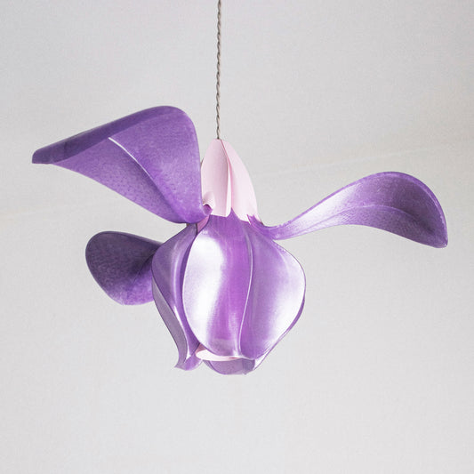 IRIS FILAMENTUM - suspension - rose