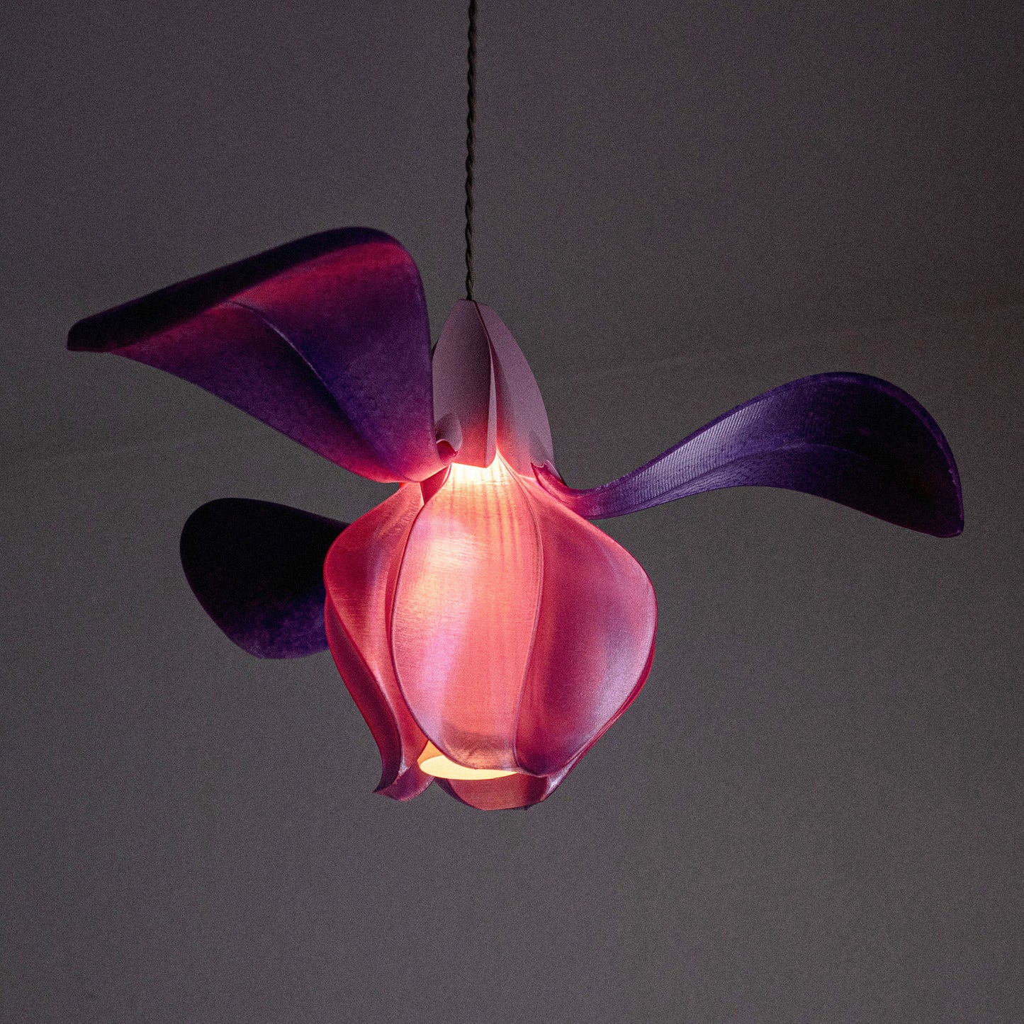 IRIS FILAMENTUM - suspension - rose