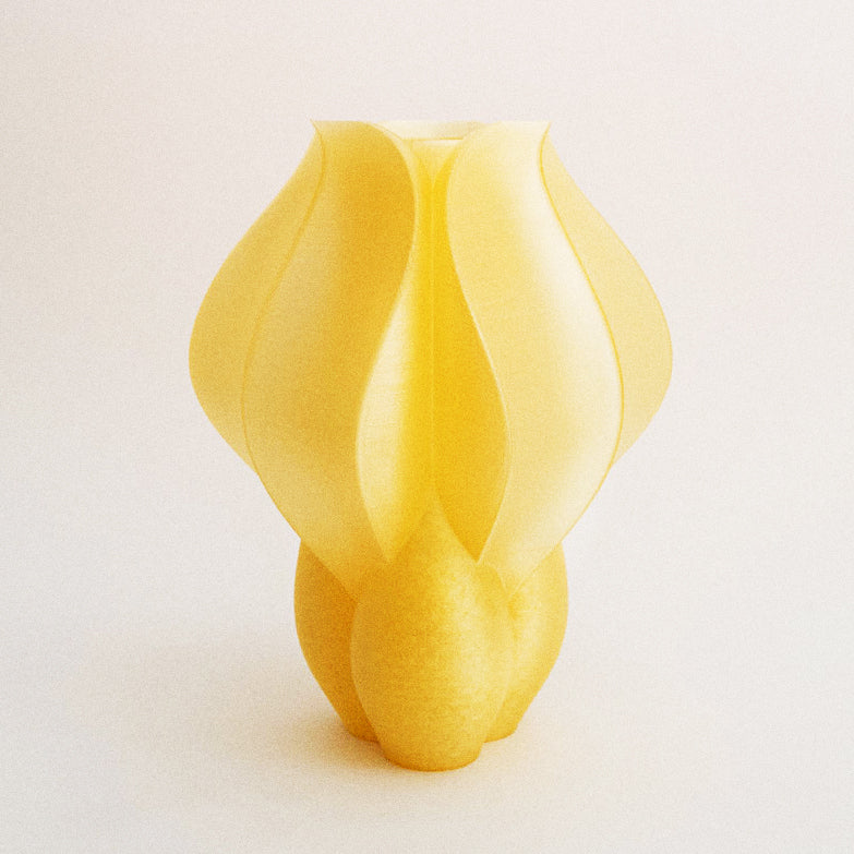 IRIS - vase - orange